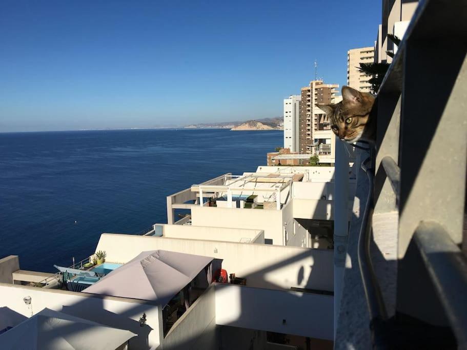 Piso En La Primera Linea Del Mar Con 2 Dormitorios Benidorm Dış mekan fotoğraf
