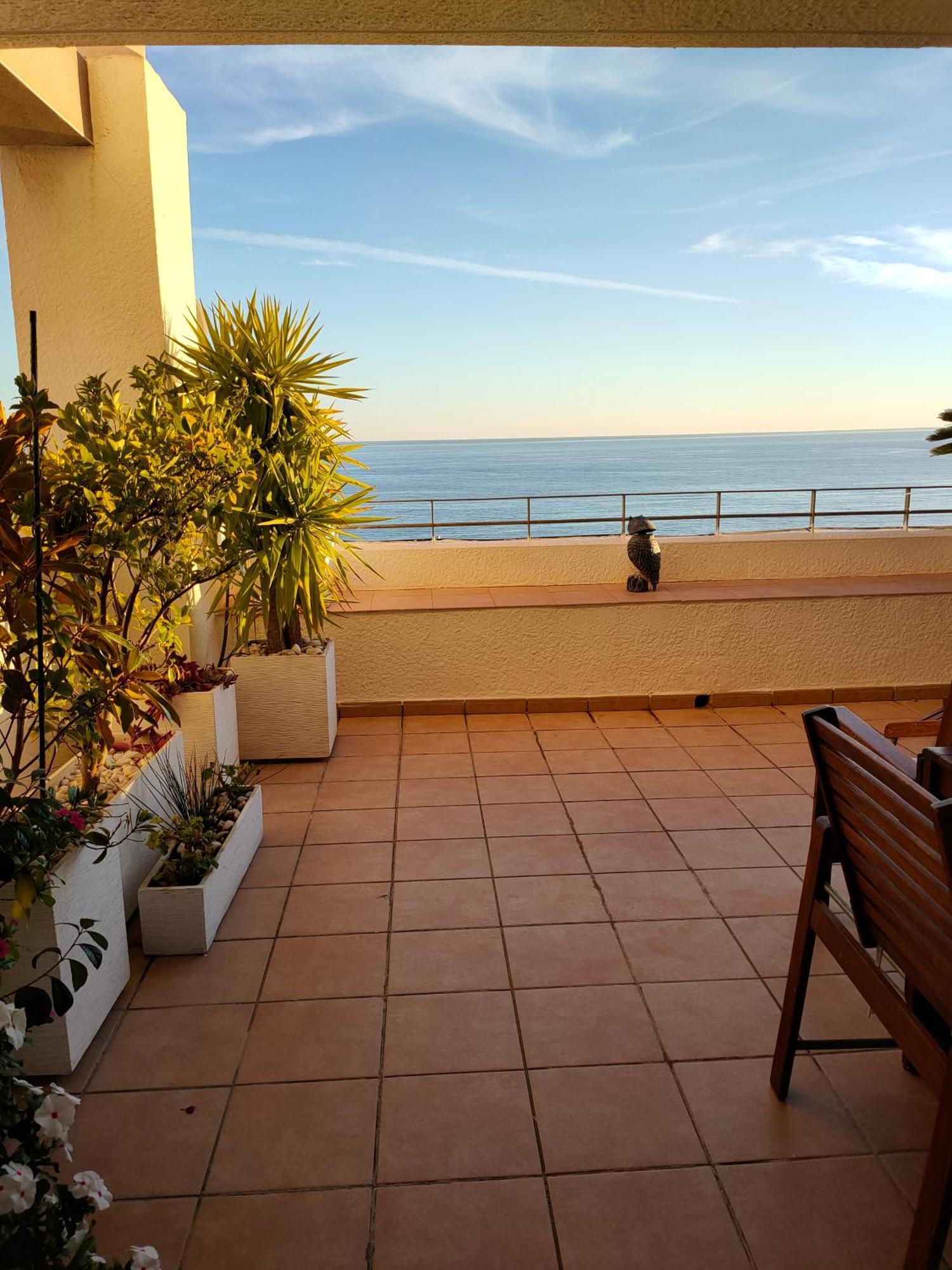 Piso En La Primera Linea Del Mar Con 2 Dormitorios Benidorm Dış mekan fotoğraf